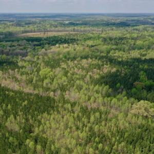 Photo #46 of SOLD property in Off Qualls Farm Rd, Enfield, NC 174.0 acres