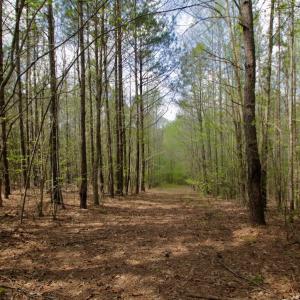 Photo #47 of SOLD property in Off Qualls Farm Rd, Enfield, NC 174.0 acres
