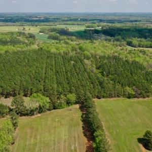 Photo #48 of SOLD property in Off Qualls Farm Rd, Enfield, NC 174.0 acres