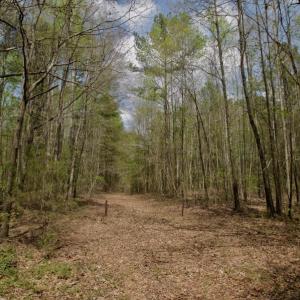Photo #49 of SOLD property in Off Qualls Farm Rd, Enfield, NC 174.0 acres