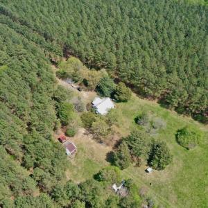 Photo #6 of SOLD property in Off Qualls Farm Rd, Enfield, NC 174.0 acres