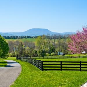 Photo #36 of SOLD property in 65 Stone House Ln, Lexington, VA 5.4 acres