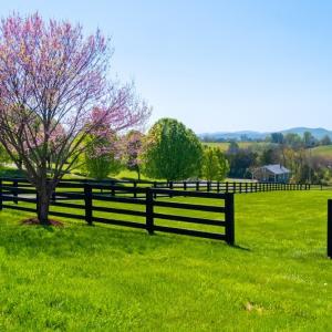 Photo #43 of SOLD property in 65 Stone House Ln, Lexington, VA 5.4 acres