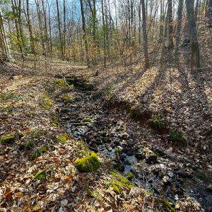 Photo #13 of SOLD property in  Off Easters Road, Boydton, VA 18.5 acres