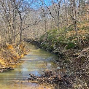 Photo #20 of SOLD property in  Off Easters Road, Boydton, VA 18.5 acres