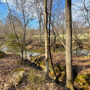 Photo #21 of SOLD property in  Off Easters Road, Boydton, VA 18.5 acres