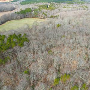 Photo #4 of SOLD property in  Off Easters Road, Boydton, VA 18.5 acres