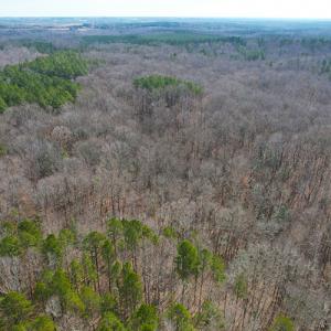 Photo #6 of SOLD property in  Off Easters Road, Boydton, VA 18.5 acres