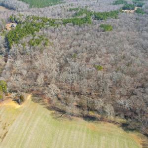 Photo #8 of SOLD property in  Off Easters Road, Boydton, VA 18.5 acres
