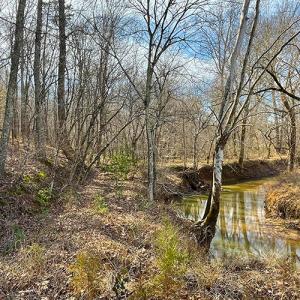 Photo #9 of SOLD property in  Off Easters Road, Boydton, VA 18.5 acres