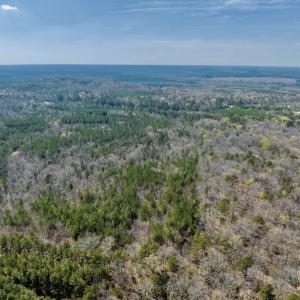 Photo #9 of SOLD property in Off Glendon Carthage Road , Carthage, NC 10.9 acres