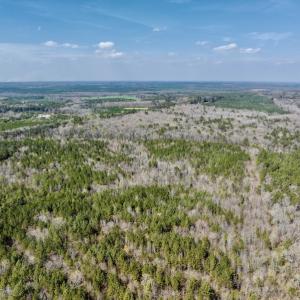 Photo #11 of SOLD property in Off Glendon Carthage Road , Carthage, NC 10.9 acres