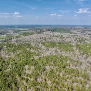 Photo #12 of SOLD property in Off Glendon Carthage Road , Carthage, NC 10.9 acres