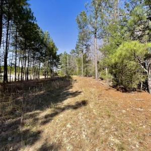 Photo #13 of SOLD property in Off Glendon Carthage Road , Carthage, NC 10.9 acres
