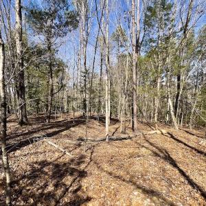 Photo #15 of SOLD property in Off Glendon Carthage Road , Carthage, NC 10.9 acres