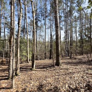 Photo #16 of SOLD property in Off Glendon Carthage Road , Carthage, NC 10.9 acres