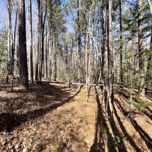 Photo #17 of SOLD property in Off Glendon Carthage Road , Carthage, NC 10.9 acres