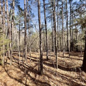 Photo #18 of SOLD property in Off Glendon Carthage Road , Carthage, NC 10.9 acres