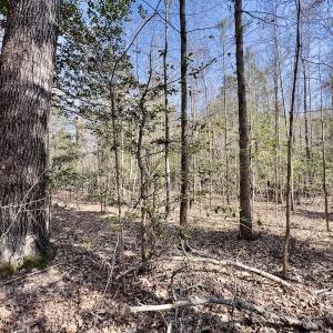 Photo #20 of SOLD property in Off Glendon Carthage Road , Carthage, NC 10.9 acres