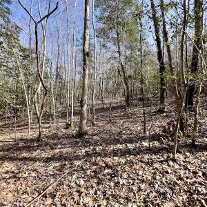 Photo #22 of SOLD property in Off Glendon Carthage Road , Carthage, NC 10.9 acres