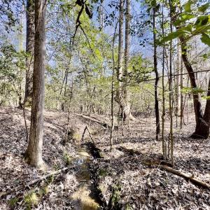 Photo #23 of SOLD property in Off Glendon Carthage Road , Carthage, NC 10.9 acres