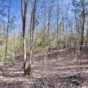 Photo #24 of SOLD property in Off Glendon Carthage Road , Carthage, NC 10.9 acres