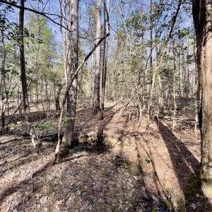 Photo #25 of SOLD property in Off Glendon Carthage Road , Carthage, NC 10.9 acres