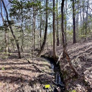 Photo #26 of SOLD property in Off Glendon Carthage Road , Carthage, NC 10.9 acres