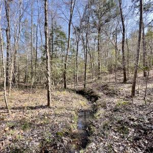 Photo #29 of SOLD property in Off Glendon Carthage Road , Carthage, NC 10.9 acres