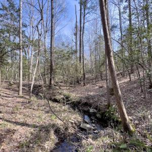 Photo #30 of SOLD property in Off Glendon Carthage Road , Carthage, NC 10.9 acres