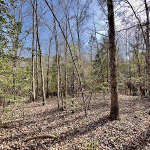 Photo #32 of SOLD property in Off Glendon Carthage Road , Carthage, NC 10.9 acres
