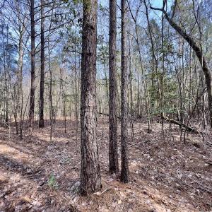 Photo #33 of SOLD property in Off Glendon Carthage Road , Carthage, NC 10.9 acres
