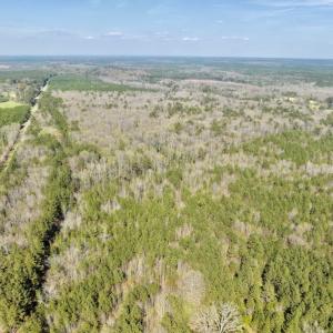 Photo #8 of SOLD property in Off Glendon Carthage Road , Carthage, NC 10.9 acres