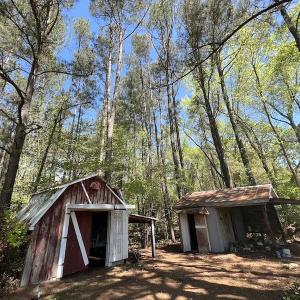 Photo #33 of SOLD property in 3996 NC Highway 124 , Macclesfield, NC 9.7 acres