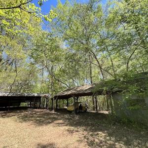 Photo #34 of SOLD property in 3996 NC Highway 124 , Macclesfield, NC 9.7 acres