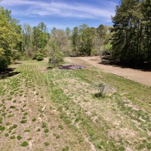 Photo #42 of SOLD property in 3996 NC Highway 124 , Macclesfield, NC 9.7 acres