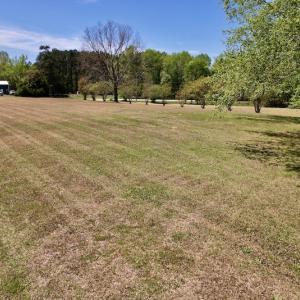 Photo #43 of SOLD property in 3996 NC Highway 124 , Macclesfield, NC 9.7 acres