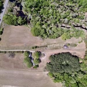 Photo #44 of SOLD property in 3996 NC Highway 124 , Macclesfield, NC 9.7 acres