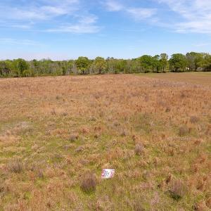 Photo #2 of SOLD property in Off Lee Rd, Gibson, NC 2.0 acres