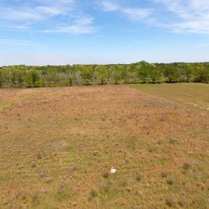 Photo #4 of SOLD property in Off Lee Rd, Gibson, NC 2.0 acres