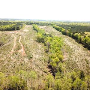Photo #2 of SOLD property in Off Meherrin River Rd, Brodnax, VA 88.0 acres