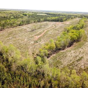 Photo #3 of SOLD property in Off Meherrin River Rd, Brodnax, VA 88.0 acres