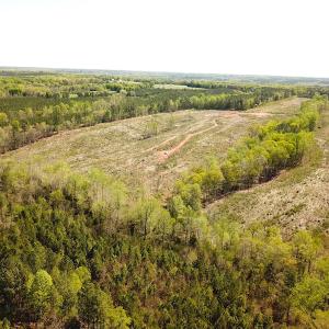 Photo #4 of SOLD property in Off Meherrin River Rd, Brodnax, VA 88.0 acres