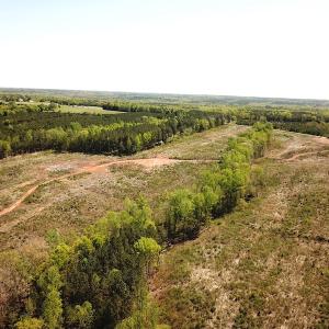 Photo #5 of SOLD property in Off Meherrin River Rd, Brodnax, VA 88.0 acres