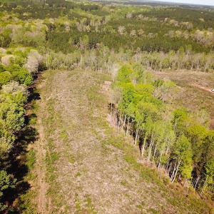 Photo #6 of SOLD property in Off Meherrin River Rd, Brodnax, VA 88.0 acres