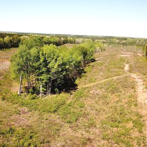 Photo #9 of SOLD property in Off Meherrin River Rd, Brodnax, VA 88.0 acres