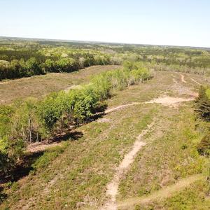 Photo #10 of SOLD property in Off Meherrin River Rd, Brodnax, VA 88.0 acres