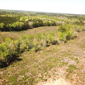 Photo #12 of SOLD property in Off Meherrin River Rd, Brodnax, VA 88.0 acres