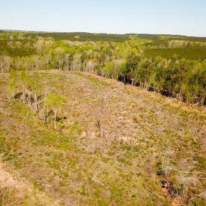 Photo #13 of SOLD property in Off Meherrin River Rd, Brodnax, VA 88.0 acres