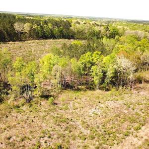 Photo #14 of SOLD property in Off Meherrin River Rd, Brodnax, VA 88.0 acres